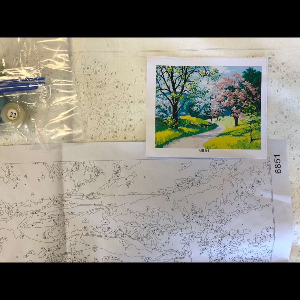 Paint by Number DIY Kit